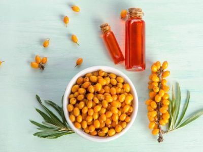 산자나무가 식단 선택에서 가지는 실용적 의미