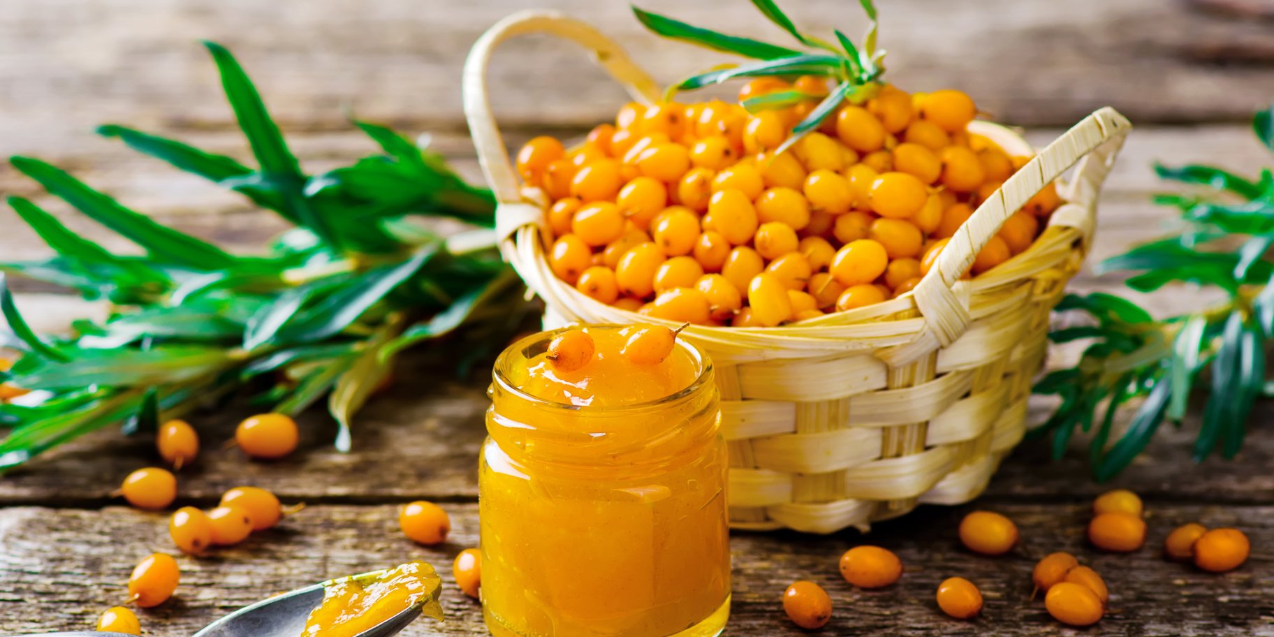 전통 식문화에서 현대까지 이어지는 산자나무의 인식